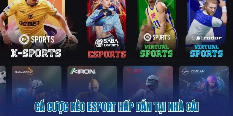 Cá cược kèo Esport hấp dẫn tại nhà cái