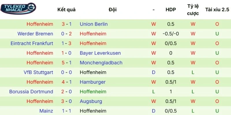 Thể hiện phong độ Hoffenheim hiện tại